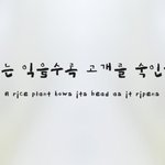 [댓글부탁해] 기숙사 밥 먹을때 있잖아