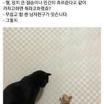 [<b>BL</b>] 아 이거 ㅈㄴ 웃기고 귀엽다