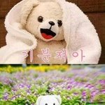 [BL] 얘들아 <b>힐러</b> 재밌어?뭔 내용이얌??