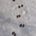 새<b>학기</b>때 새로운 친구 사귀는거
