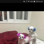 [19] <b>빛삭</b>