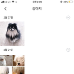 [방탄소년단] 박지민 강아지설