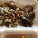 <b>시바</b> 산낙지 먹고싶다
