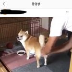 [댓글부탁해] 얘들아 이거 한번씩만 봐줘ㅠㅠㅠㅠㅠ
