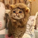 [드루와] 난 월요일에 이렇게해야징.. ㅎㅎ