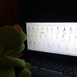 [댓글부탁해] 얘드라 <b>패고</b> 좀 도와줘ㅠㅠ