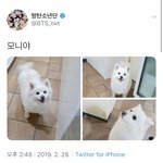[방탄소년단] 우리 <b>모니</b> 아이뽀 ㅠㅠㅠㅠ