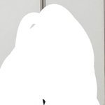 너희 뚱뚱한애가 치마<b>입음</b>어떤생각들어
