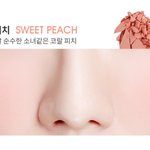 [드루와] 얘들아 <b>갈웜</b>한테 이 블러셔 어떤거같아?
