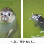 클렌징워터<b>or</b>오일 뭐가 더 좋음?