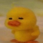 [조언부탁해] 이거 그린라이트냐? <b>Yes</b> or No!