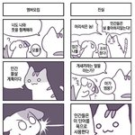 학생 쿠션 추반 좀 부탁해!