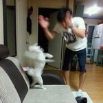 좋아하는 래퍼 적고 가 <b>주</b><b>셈</b>