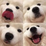 [드루와] 우리 부모님처럼 <b>충동</b>적인 사람 있냐