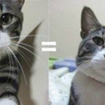 <b>EBS</b> 인강 조언해줭!!