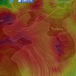 <b>미세</b>먼지 짜증..