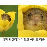 사진ㅇ)얘들아 나 화장 <b>똥</b><b>손</b>인데 마스카라 어케함;;ㅂㄷ