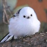 [드루와] 망돌파는사람?ㅜ