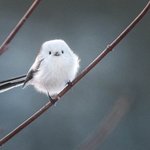 없애고싶은 습관 적고가면 없어진다