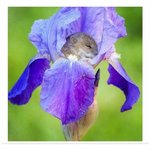 얘드라 엊그제 올라온 방귀유형 글 어디읶냐ㅑ