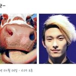 [세븐틴] 캐럿들 입덕 언제 <b>해쏘</b>?