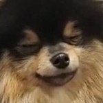 얘들아 이거 난데