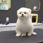 [드루와] 탈덕해서 굿즈 <b>처분</b>할 건데