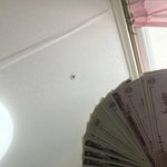 [드루와] 선착 돈 <b>뿌림</b> 인증ㅇ