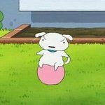 [드루와] <b>집</b><b>순</b>인데 살려줘