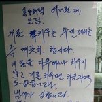 [댓글부탁해] <b>벨트</b> 폭이 좁은게 머야