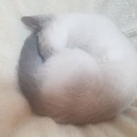 [19] 여자들 이 행동 <b>극혐</b>이가...
