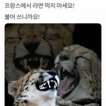 [모두드루와] 프랑스에서는 <b>라면</b>먹지 말아요 왜냐하면...