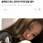 강아지 이름까지 <b>카이로</b> 지은 제니