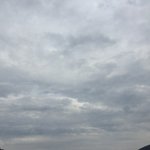 자취하는데 지금 뭐 시켜먹는거 <b>위험</b>할까