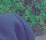 [EXO] 너무 쉽지만 귀엽잖아..ㅎㅎ둘다 <b>토크</b>
