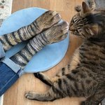 [댓글부탁해] 키드<b>밀리</b>