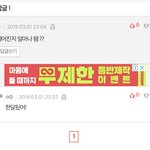얘네 <b>맞춤</b>범 좀 엇갈린 운명;;;