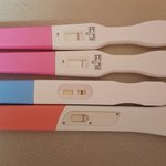 [19] <b>임신테스</b>트기ㅠㅠ 너무불안해...