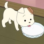 [댓글부탁해] <b>내</b> <b>눈</b>보고 첫인상 평가해줘