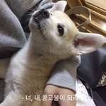 [댓글부탁해] <b>강동구</b>쪽 사는 애들 있음?