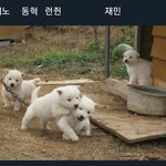 [NCT] <b>강지</b> 공공즈