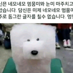 [댓글부탁해] ㅇㅇ이들아 들어와봐 <b>큰일</b>났어!!!