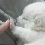 [댓글부탁해] 님들 <b>변기</b> 막히면