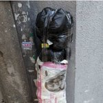 [모두드루와] <b>비양심</b>자가 버린 쓰레기봉투