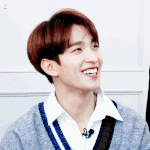 [세븐틴] 캐럿들 플디왕조실록읽어봤옹??