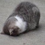 [댓글부탁해] 새학기에 친구 관계 어떡해? ㅠ