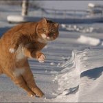 얘들아ㅜㅜㆍㅜㅜ머리 좀 고민 좀 들어죠ㅜㅠ