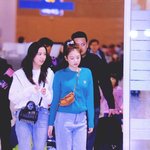 블핑<b>지수</b>랑 <b>제니</b> 비율 좋다