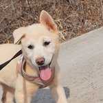 별님/진도/<b>여아</b>/2개월 *곰을 닮은 아이