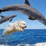 [댓글부탁해] 쌍커풀 <b>속상</b>이라 속쌍해...